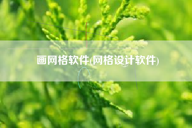 画网格软件(网格设计软件)