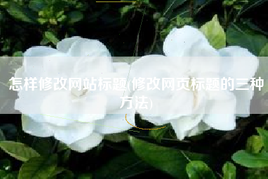 怎样修改网站标题(修改网页标题的三种方法)