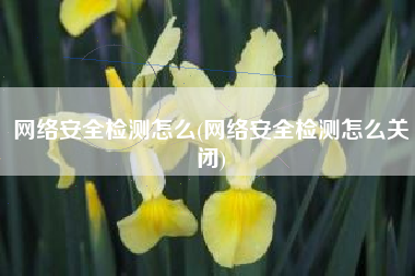 网络安全检测怎么(网络安全检测怎么关闭)