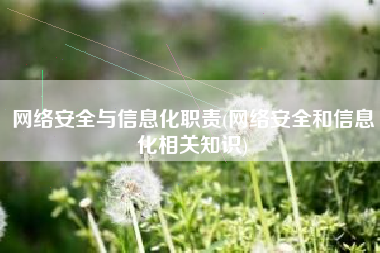 网络安全与信息化职责(网络安全和信息化相关知识)