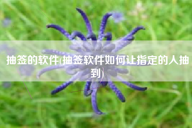 抽签的软件(抽签软件如何让指定的人抽到)
