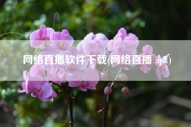 网络直播软件下载(网络直播 apk)