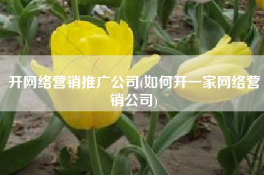 开网络营销推广公司(如何开一家网络营销公司)