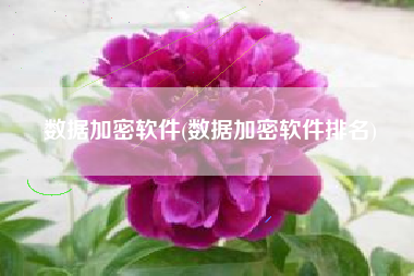 数据加密软件(数据加密软件排名)
