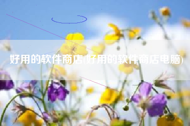 好用的软件商店(好用的软件商店电脑)