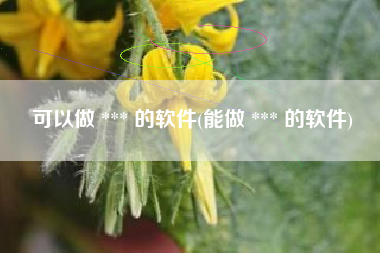 可以做 *** 的软件(能做 *** 的软件)