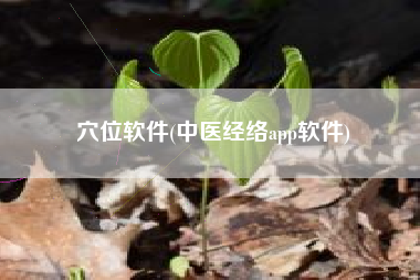 穴位软件(中医经络app软件)