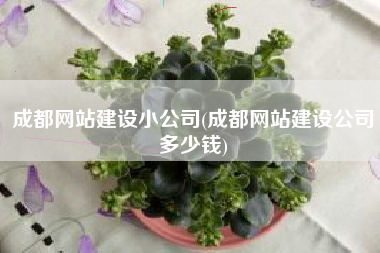 成都网站建设小公司(成都网站建设公司多少钱)