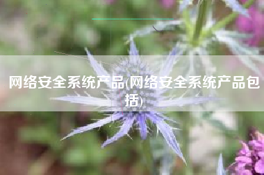 网络安全系统产品(网络安全系统产品包括)