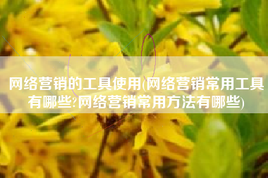网络营销的工具使用(网络营销常用工具有哪些?网络营销常用方法有哪些)