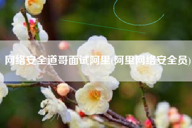 网络安全道哥面试阿里(阿里网络安全员)
