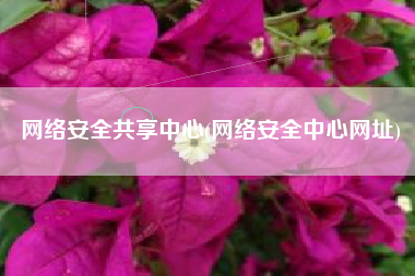 网络安全共享中心(网络安全中心网址)