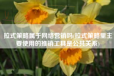 拉式策略属于网络营销吗(拉式策略里主要使用的推销工具是公共关系)