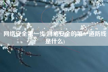 网络安全第一步(网络安全的第一道防线是什么)