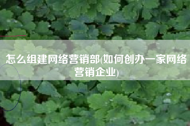 怎么组建网络营销部(如何创办一家网络营销企业)