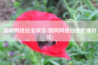 国网网络安全攻击(国网网络安全管理办法)