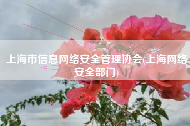 上海市信息网络安全管理协会(上海网络安全部门)