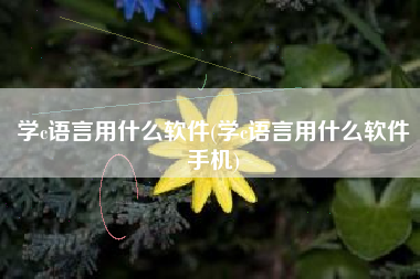 学c语言用什么软件(学c语言用什么软件手机)
