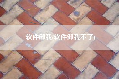 软件卸载(软件卸载不了)