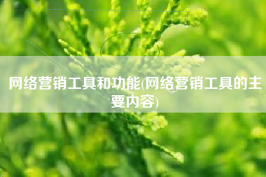 网络营销工具和功能(网络营销工具的主要内容)