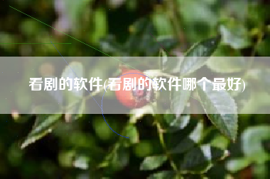 看剧的软件(看剧的软件哪个最好)