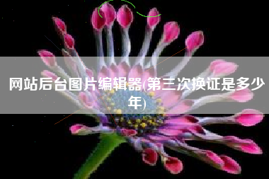 网站后台图片编辑器(第三次换证是多少年)
