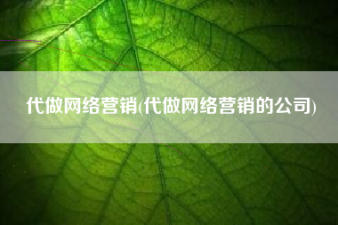 代做网络营销(代做网络营销的公司)