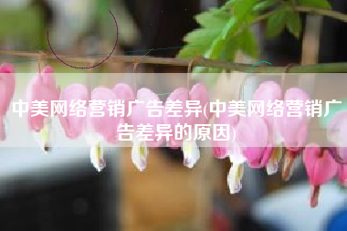 中美网络营销广告差异(中美网络营销广告差异的原因)
