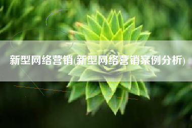 新型网络营销(新型网络营销案例分析)