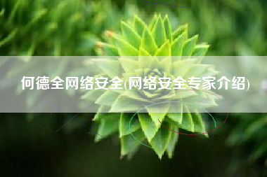 何德全网络安全(网络安全专家介绍)