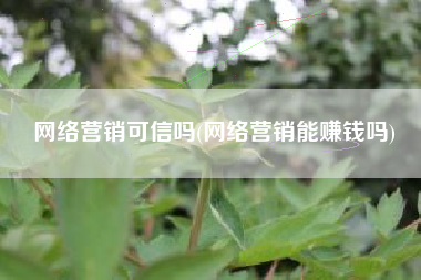 网络营销可信吗(网络营销能赚钱吗)