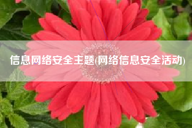 信息网络安全主题(网络信息安全活动)
