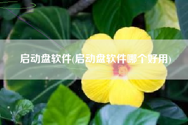 启动盘软件(启动盘软件哪个好用)