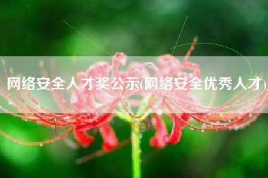 网络安全人才奖公示(网络安全优秀人才)