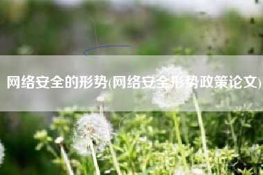 网络安全的形势(网络安全形势政策论文)