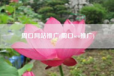 周口网站推广(周口seo推广)