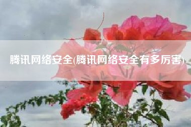 腾讯网络安全(腾讯网络安全有多厉害)