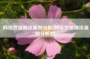 网络营销腾讯案例分析(网络营销腾讯案例分析题)