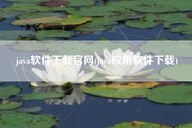 java软件下载官网(java应用软件下载)