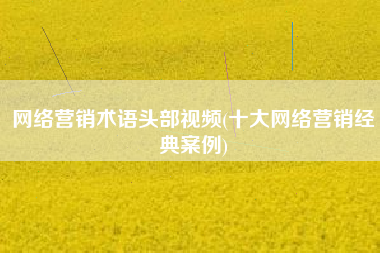 网络营销术语头部视频(十大网络营销经典案例)