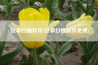 安卓扫描软件(安卓扫描软件免费)