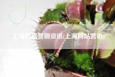 上海网络营销资讯(上海网站营销)