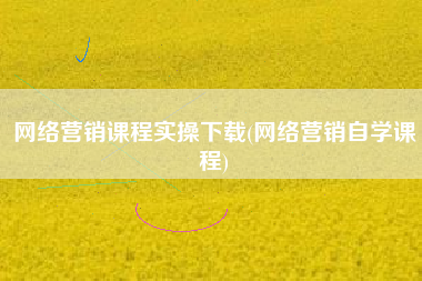 网络营销课程实操下载(网络营销自学课程)