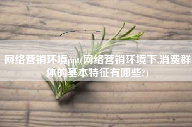 网络营销环境ppt(网络营销环境下,消费群体的基本特征有哪些?)