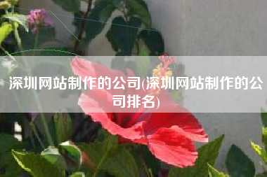 深圳网站制作的公司(深圳网站制作的公司排名)