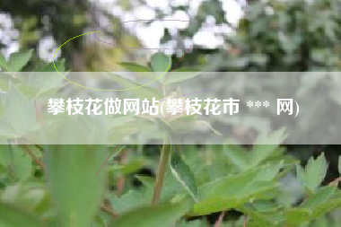 攀枝花做网站(攀枝花市 *** 网)