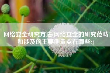 网络安全研究方法(网络安全的研究范畴和涉及的主要侧重点有哪些?)