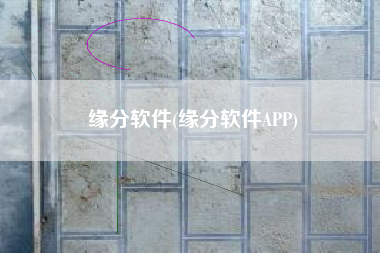 缘分软件(缘分软件APP)