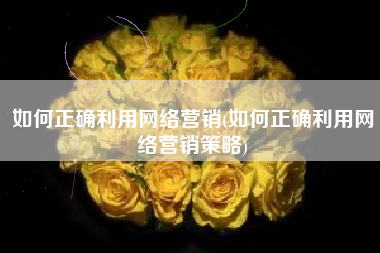 如何正确利用网络营销(如何正确利用网络营销策略)
