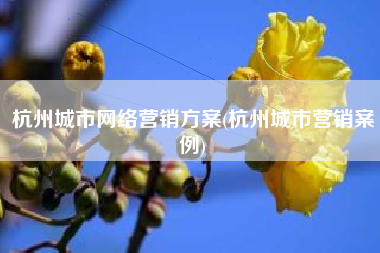 杭州城市网络营销方案(杭州城市营销案例)